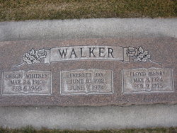 Everett Jay Walker 