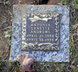 Antonia Lynette Andrews 