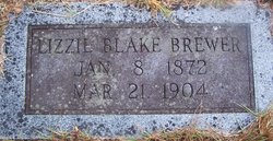 Sarah Elizabeth “Lizzie” <I>Blake</I> Brewer 