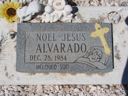 Noel Jesus Alvarado 