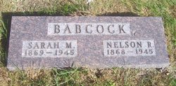 Nelson Reuben Babcock 