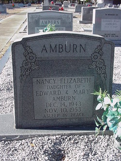 Nancy Elizabeth Amburn 