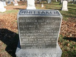 Andrew J Whittaker 