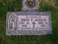 Jorge P Aguilar 