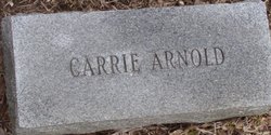 Carrie Arnold 