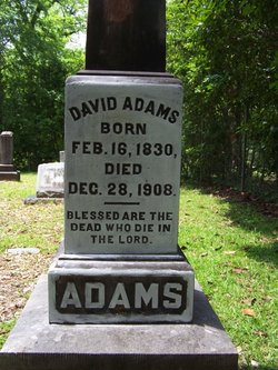 Dr David Nathan Adams 