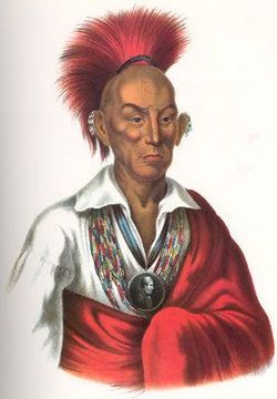 Chief Blackhawk 