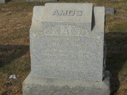 Amelia Ann <I>McComas</I> Amos 