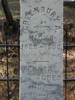 Teresa Agnes <I>Dignan</I> Hicks 