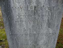 Amy Lee Colt 