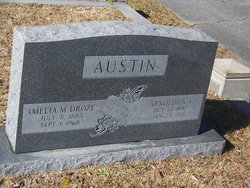 Arnoldus V Austin 
