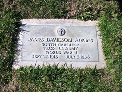 James Davidson Adkins 