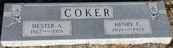 Hester Abigail <I>James</I> Coker 