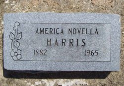 America Novella <I>Brown</I> Harris 