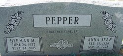 Anna Jean <I>Patterson</I> Pepper 