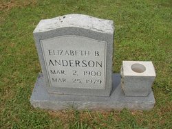 Elizabeth B Anderson 