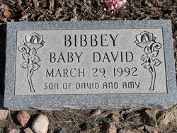 David J Bibbey 