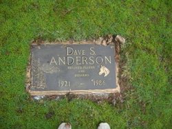 Dave S. Anderson 