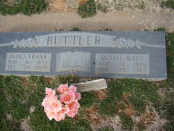 Mary Sussana “Sussie” <I>Hollingsworth</I> Buttler 