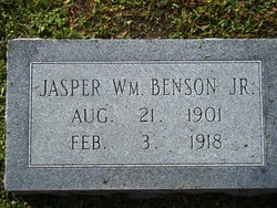 Jasper William Benson Jr.