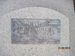 Mary J “Mollie” <I>Adams</I> Montgomery 