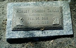 Ashley Noreen Taylor 