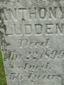 Anthony Ludden 