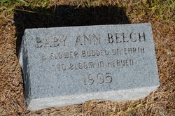Ann Beech 