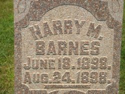 Harry M. Barnes Jr.
