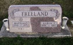 Aaron J. Freeland 
