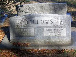 George Francis Bellows Sr.