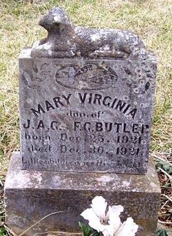 Mary Virginia Butler 