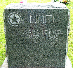 Sarah Emma <I>Feeback</I> Noel 