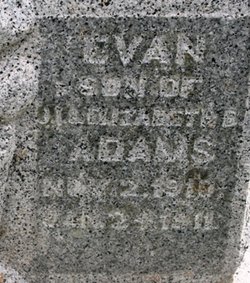 Evan Adams 