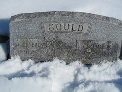 George W. Gould 