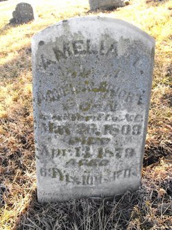 Amelia T. <I>Holt</I> Albright 