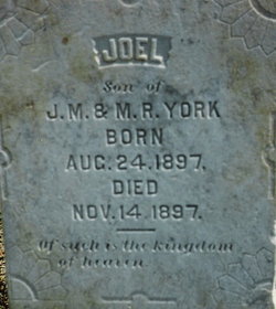 Robert Joel York 