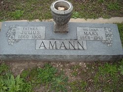 Julius Amann 