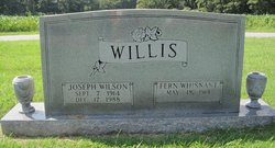 Fern <I>Whisnant</I> Willis 