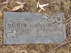 David Rolfe Johnson 
