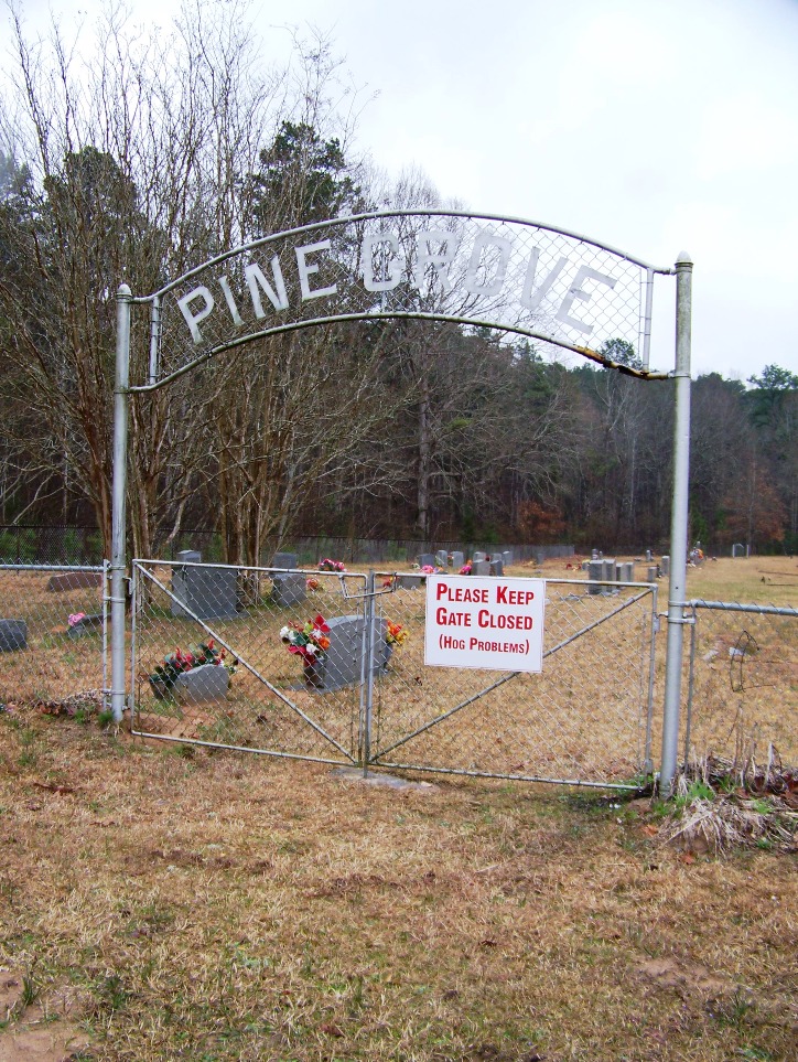 Pine Grove Cumberland Presbyterian Cemetery