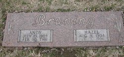 Andy Bruning 
