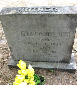 Sarah Catherine <I>Carter</I> Pellicer 