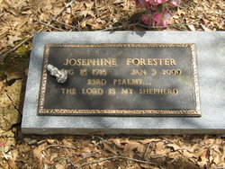 Josephine <I>Johnson</I> Forester 