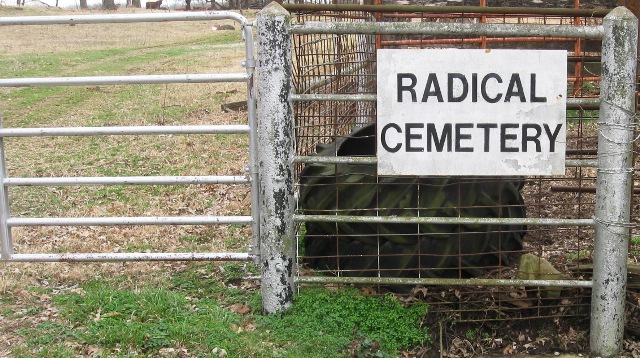 Radical Cemetery