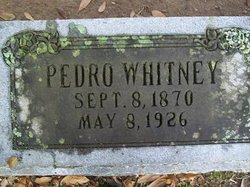 Pedro D. Whitney 