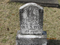 Allen Fillmore Etheridge 