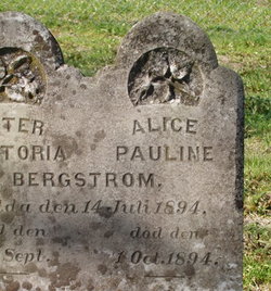 Alice Pauline Bergstrom 