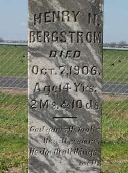 Henry N. Bergstrom 