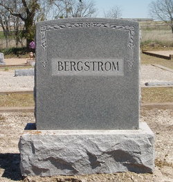 John I. Bergstrom 